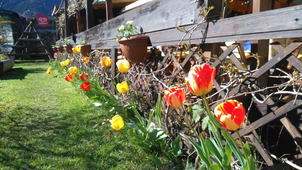 Gasthof Wieshof Zell am See Buitenkant foto